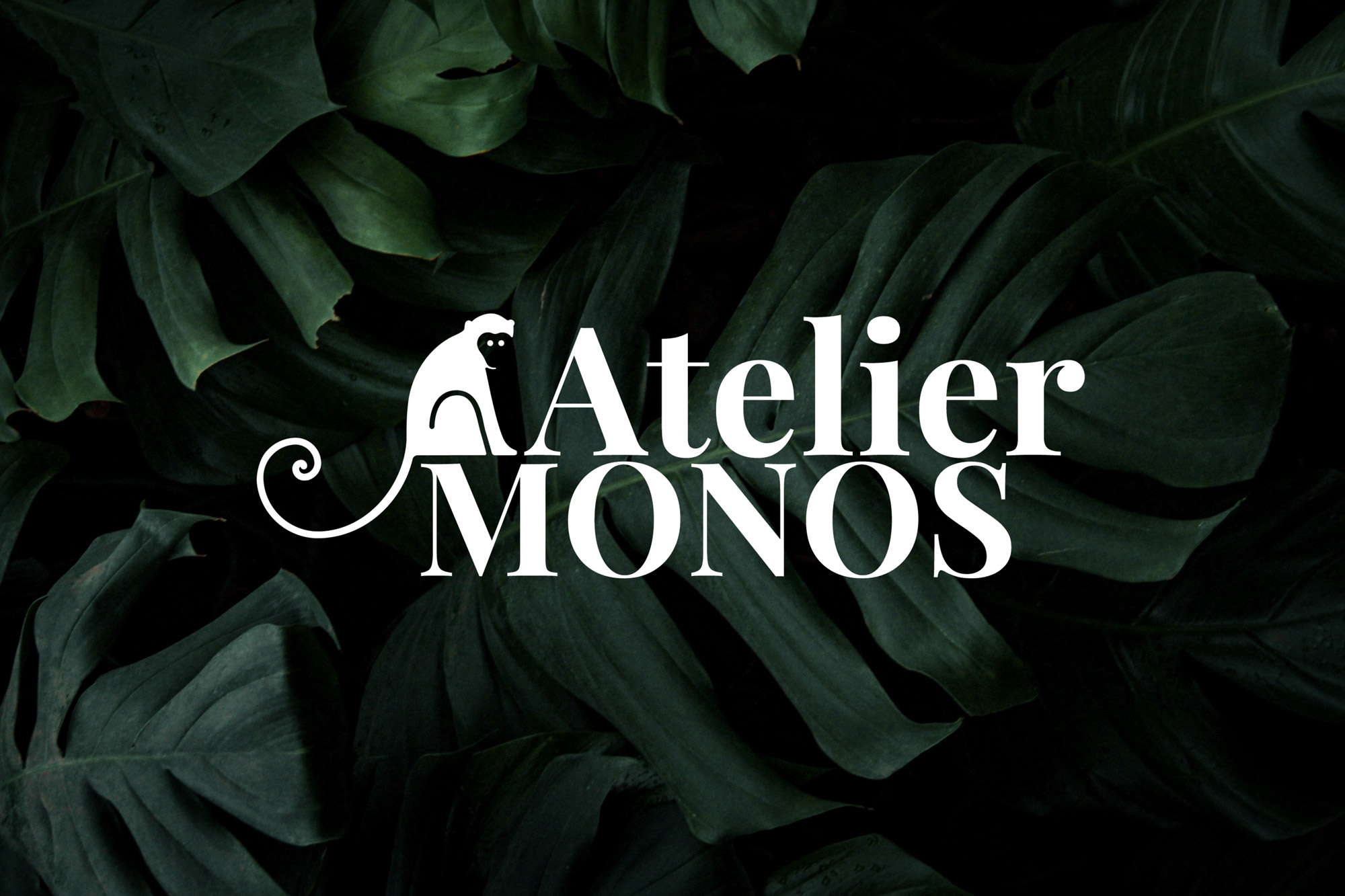 Atelier Monos - Grafik Wien, modern & wirkungsvoll